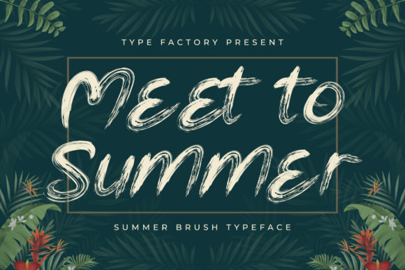 Meet to Summer Font: A Refreshing Upgrade for Your Brand